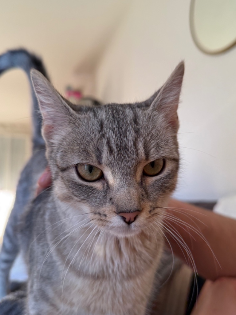 Fifty_040098100710524