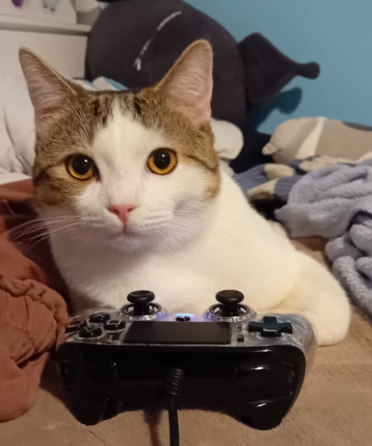 Maza_040097200052997