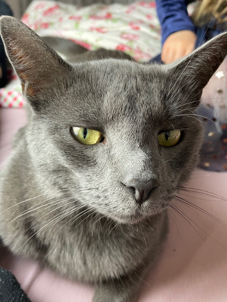 Foto von Mishko