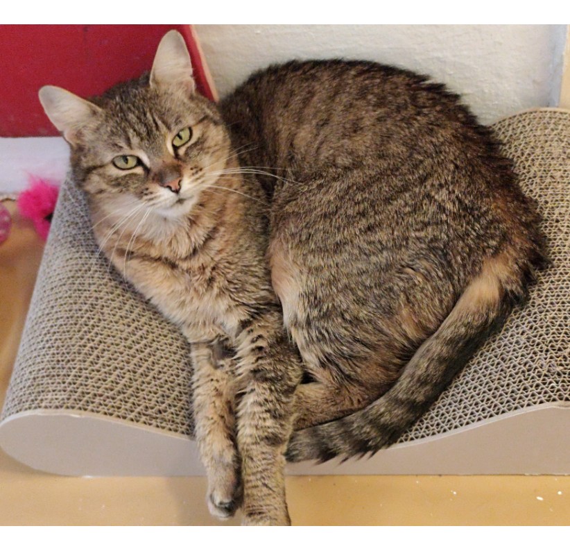 Mili_972274001713006