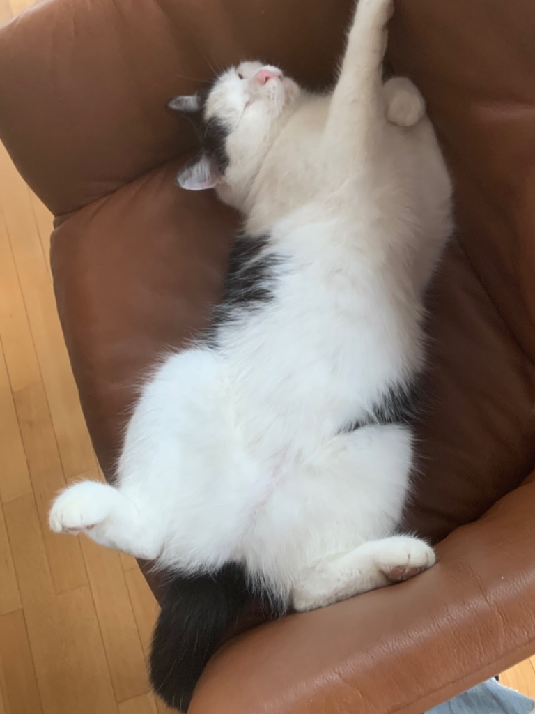 Happy_040097200009383