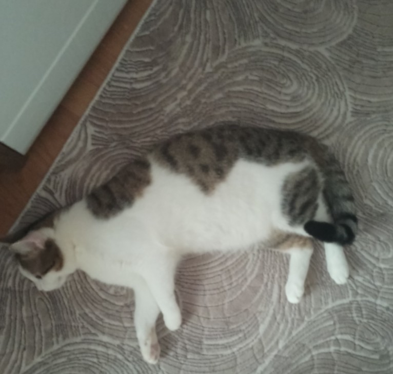 Maza_040097200052997