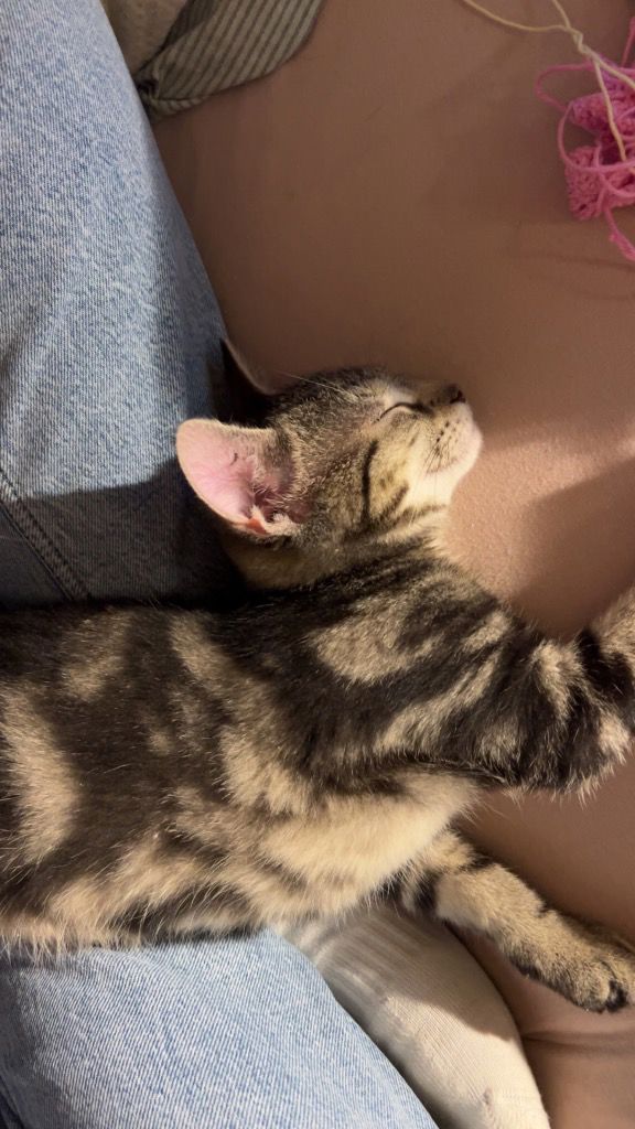 Foto von Baylee
