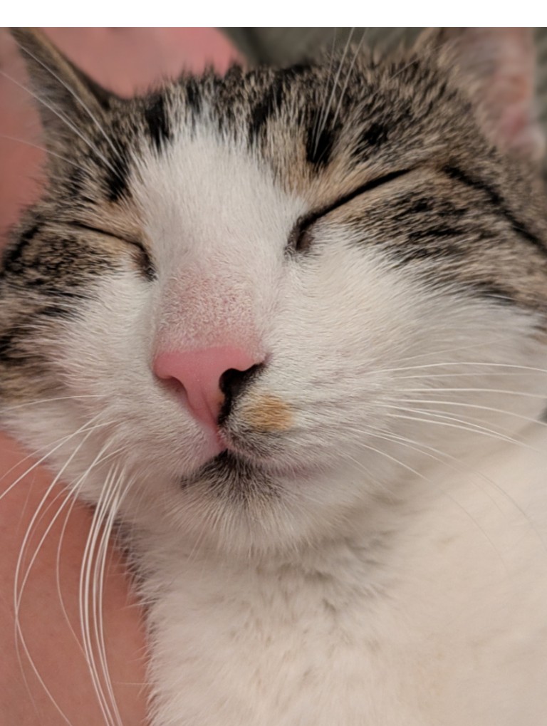 Lila_040098100681948