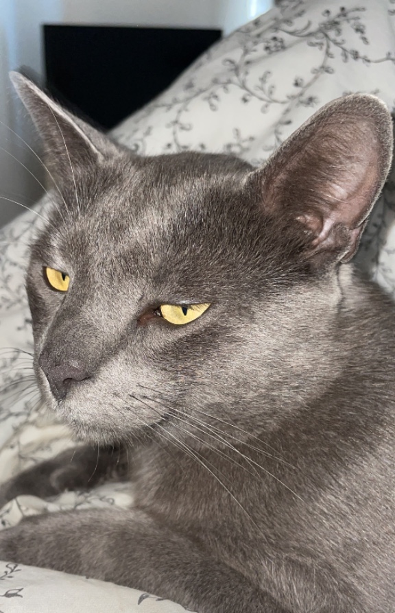 Foto von Mishko