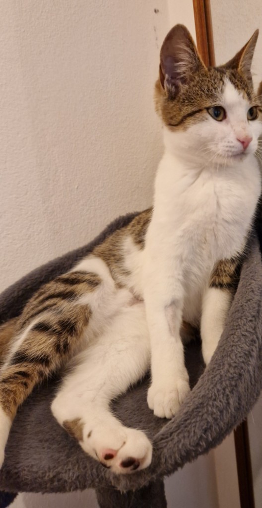 Sina_040097200053228