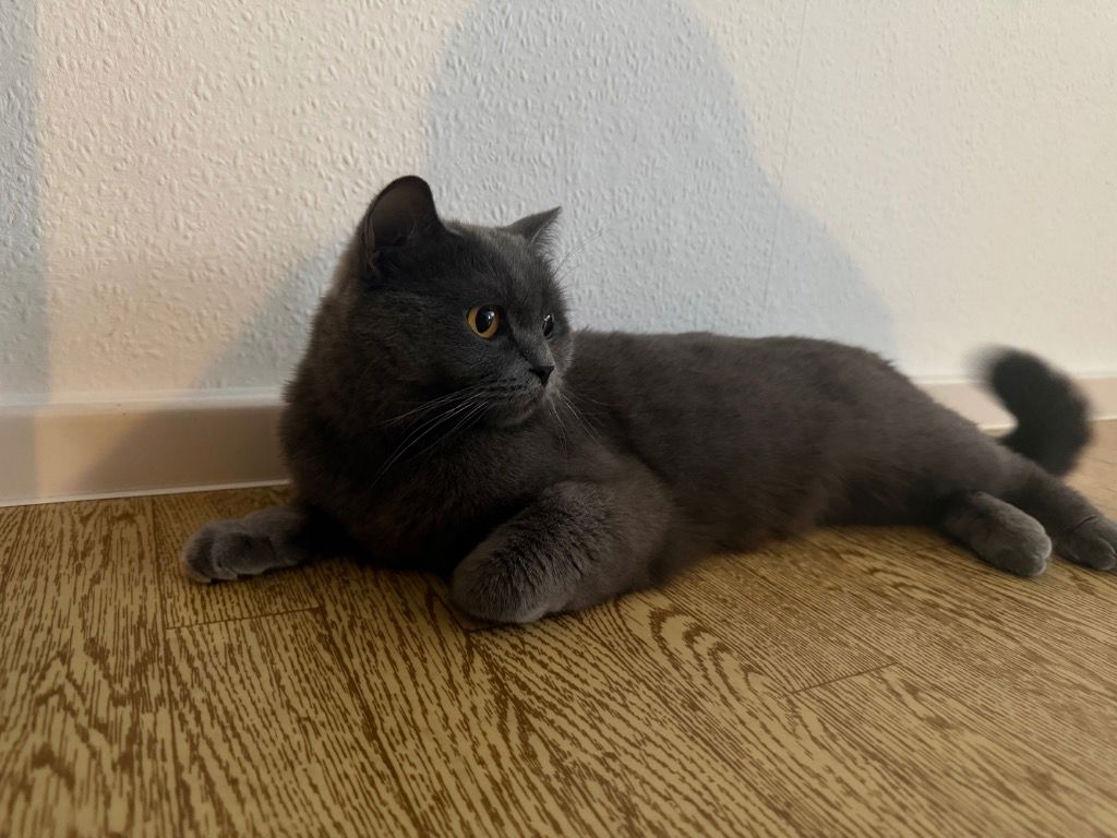 Foto von Mia