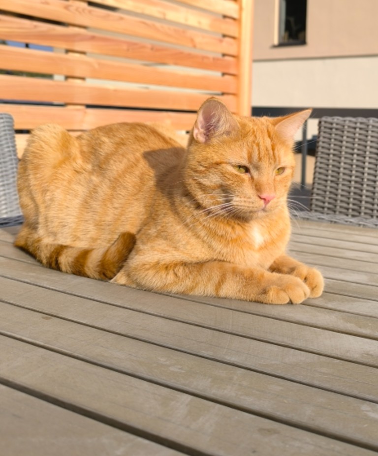 Sammy_040097809311967