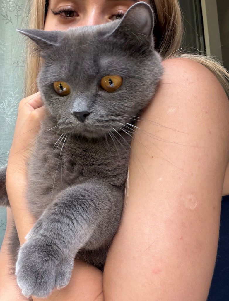 Foto von Mia