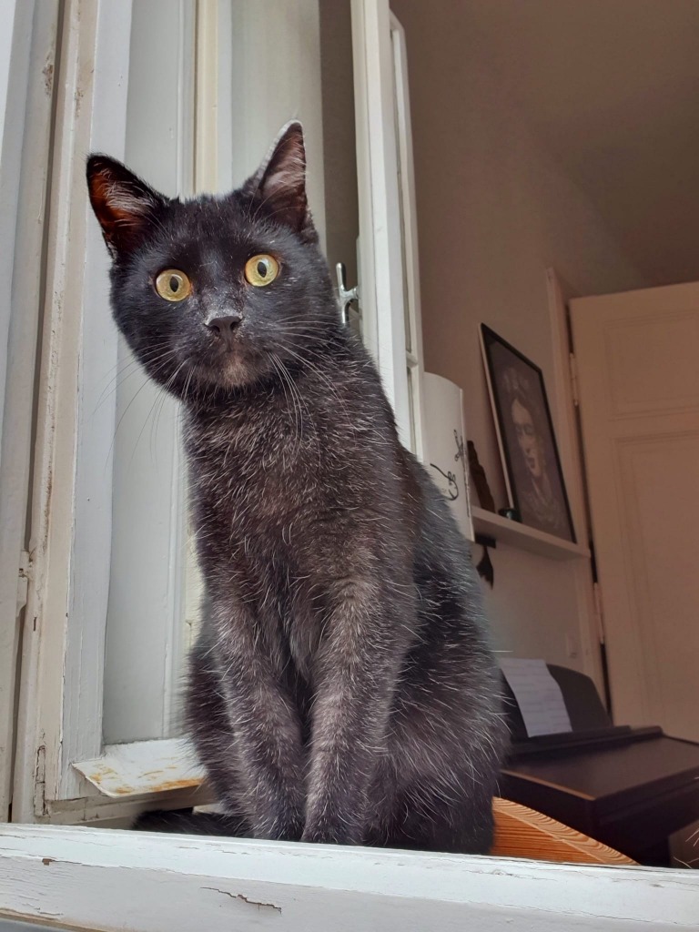 Foto von Yoko