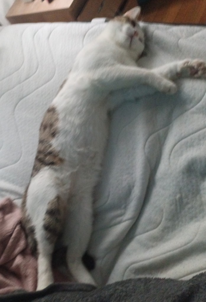 Maza_040097200052997