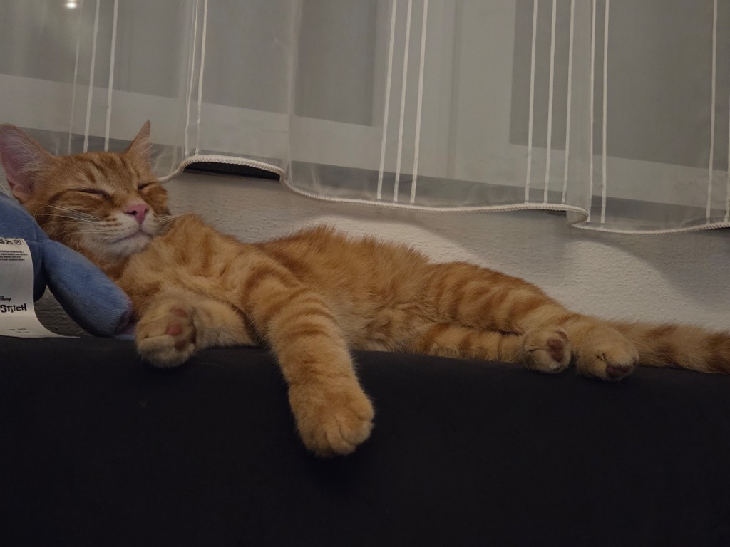 Leopold_276099200775843