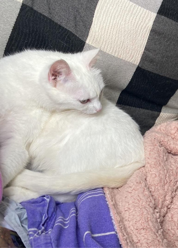Foto von Lumi