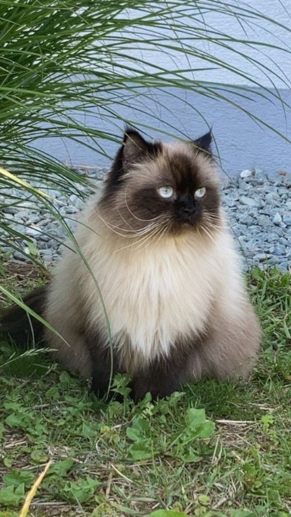 Mailo_040097200050392