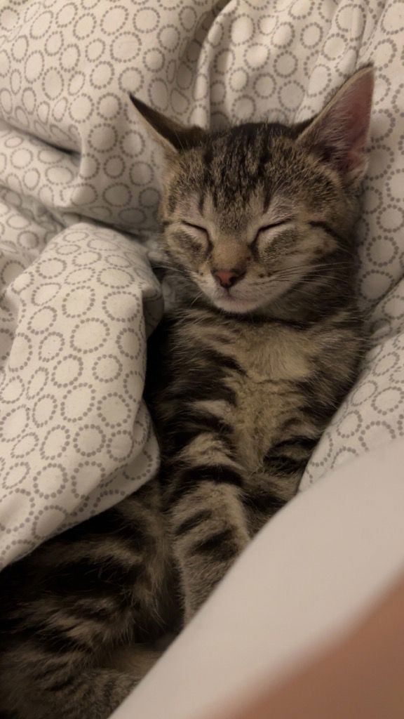 Foto von Baylee
