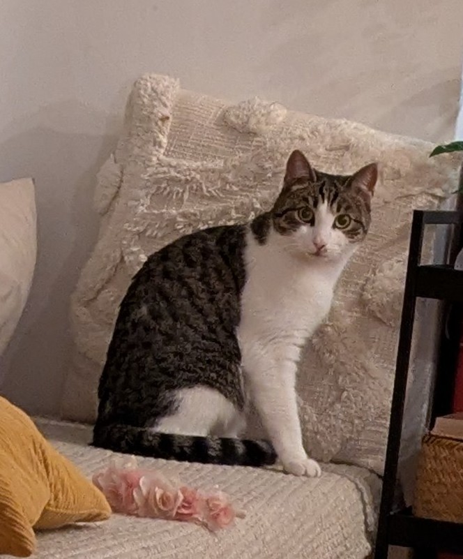 Lila_040098100681948