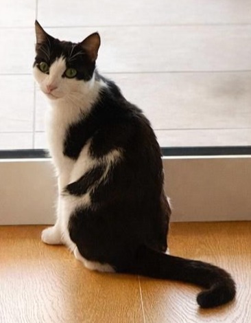 Foto von Timmy