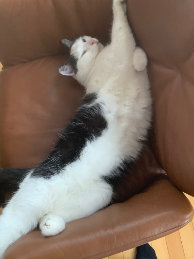 Happy_040097200009383