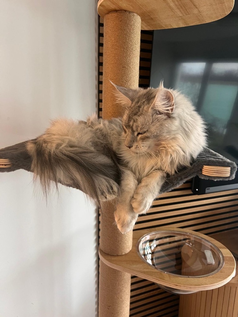 Foto von FILOU